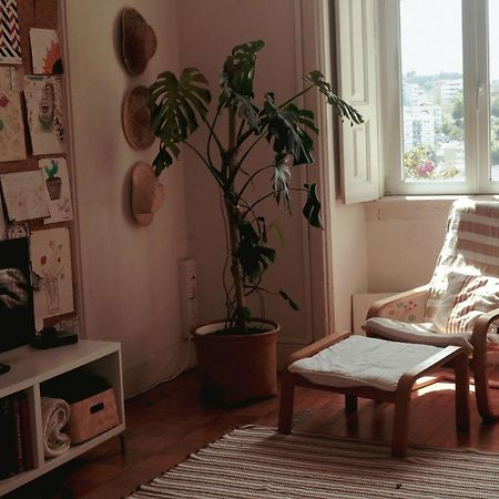 Coimbra Erasmus House - Guest House Екстериор снимка