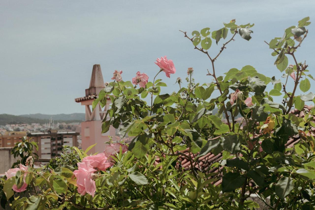 Coimbra Erasmus House - Guest House Екстериор снимка